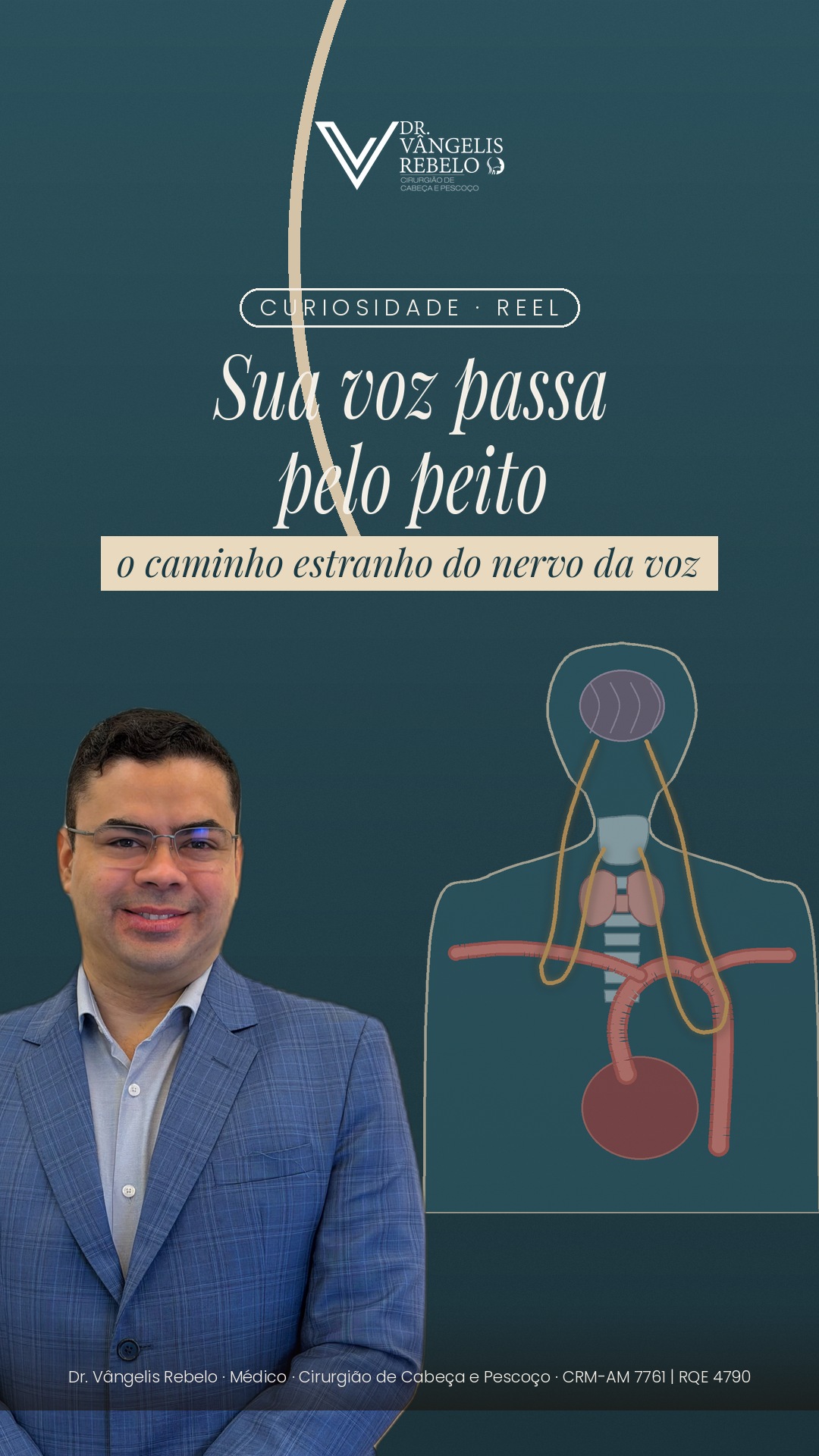 Sua voz passa pelo peito. 🫁 O nervo que comanda as pregas vocais sai do cérebro