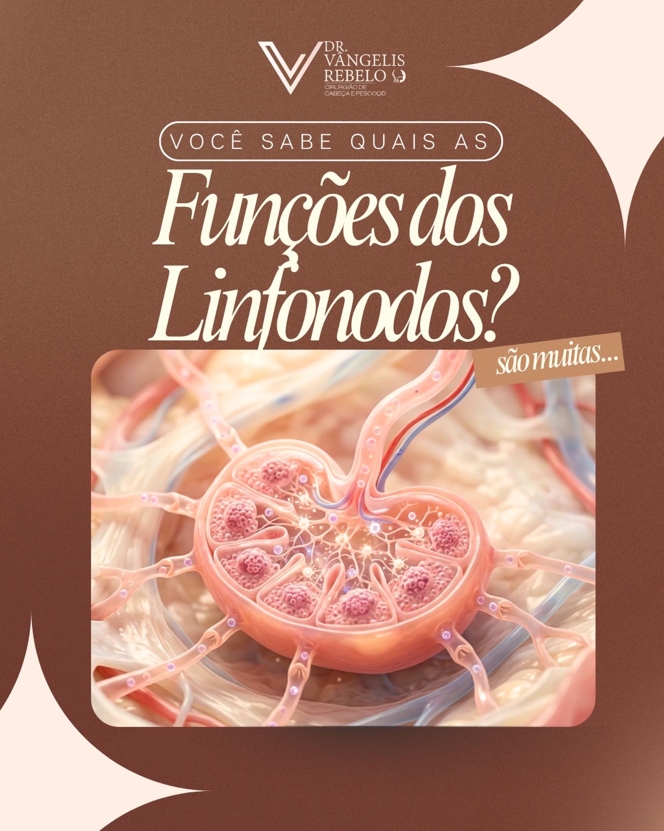 🩺 Você sabe quais são as funções dos linfonodos?

Pequenos, distribuídos por di